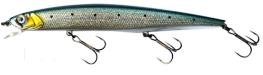 FISHYCAT JungleCat R085